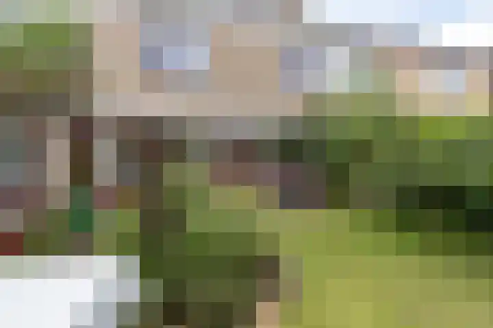 De Bongerd 81 Zuidhorn thumbnail 16