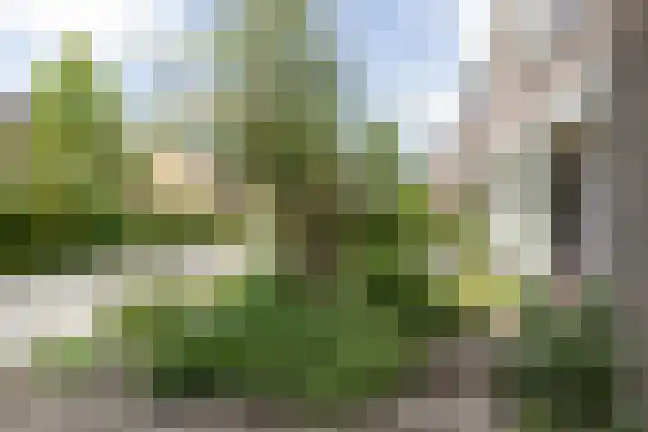 De Bongerd 81 Zuidhorn thumbnail 32