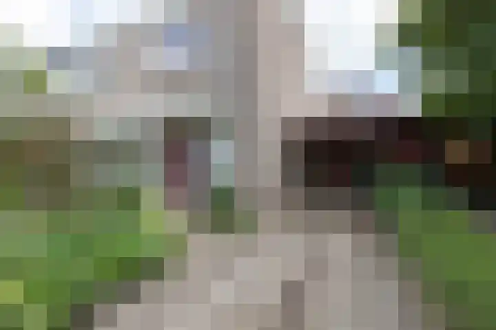 De Bongerd 81 Zuidhorn thumbnail 33