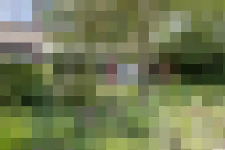De Bongerd 81 Zuidhorn thumbnail 34
