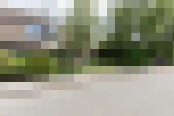 De Bongerd 81 Zuidhorn thumbnail 35