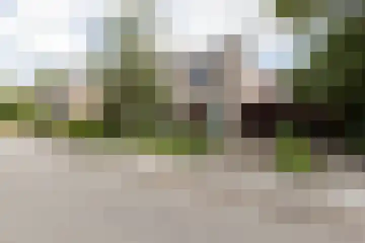 De Bongerd 81 Zuidhorn thumbnail 36