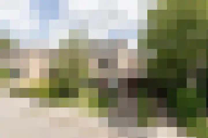 De Bongerd 81 Zuidhorn thumbnail 37
