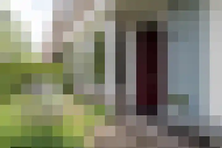 De Bongerd 81 Zuidhorn thumbnail 4