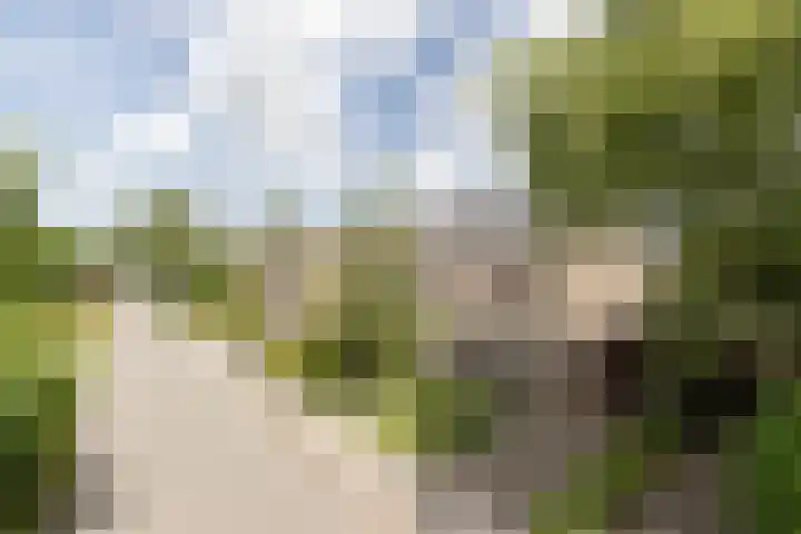 De Bongerd 81 Zuidhorn thumbnail 41