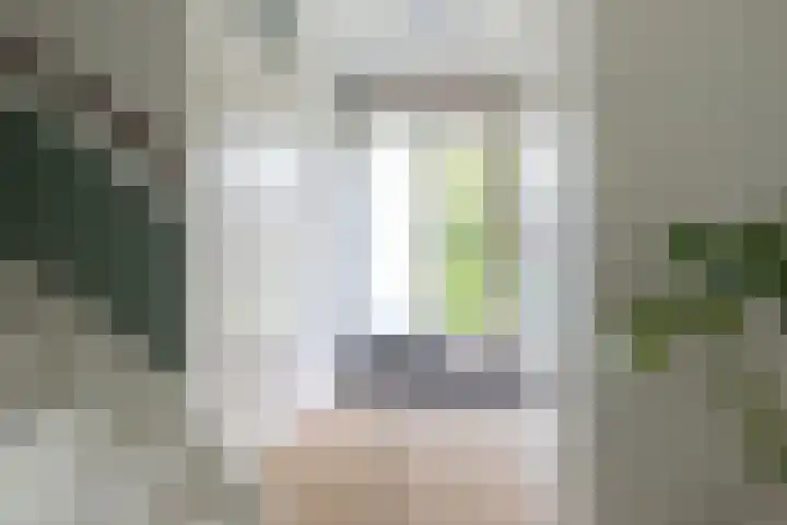 De Bongerd 81 Zuidhorn thumbnail 5