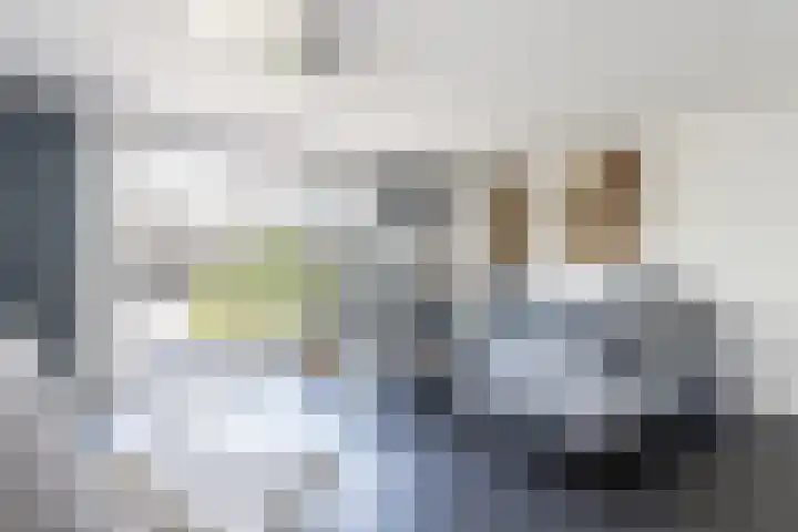 De Bongerd 84 Dalem thumbnail 20