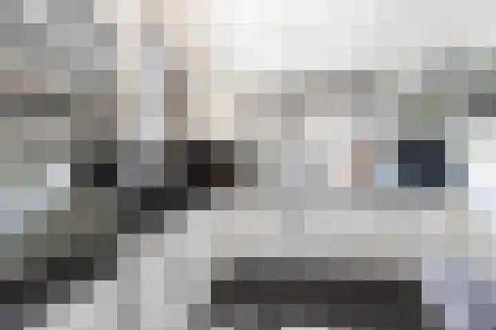 De Bongerd 84 Dalem thumbnail 26