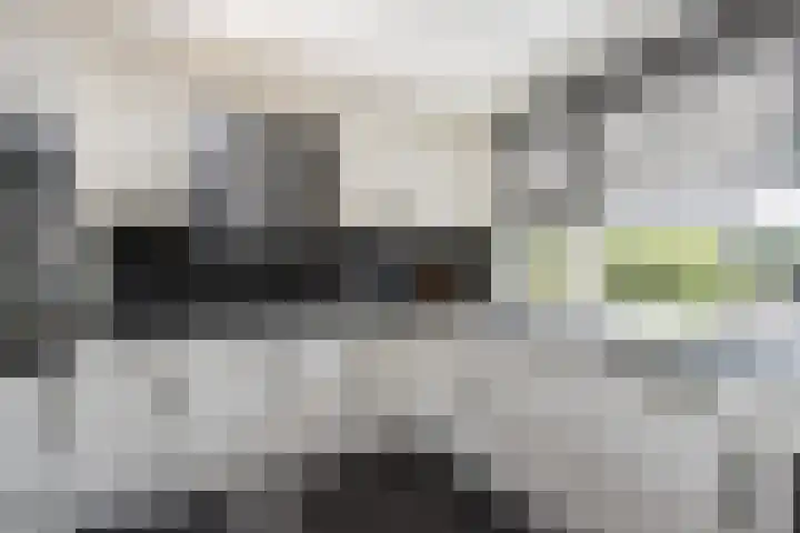 De Bongerd 84 Dalem thumbnail 27