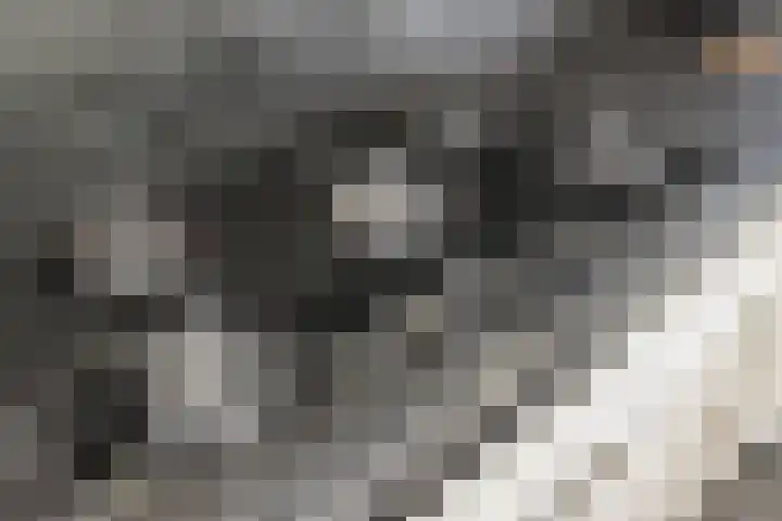 De Bongerd 84 Dalem thumbnail 29
