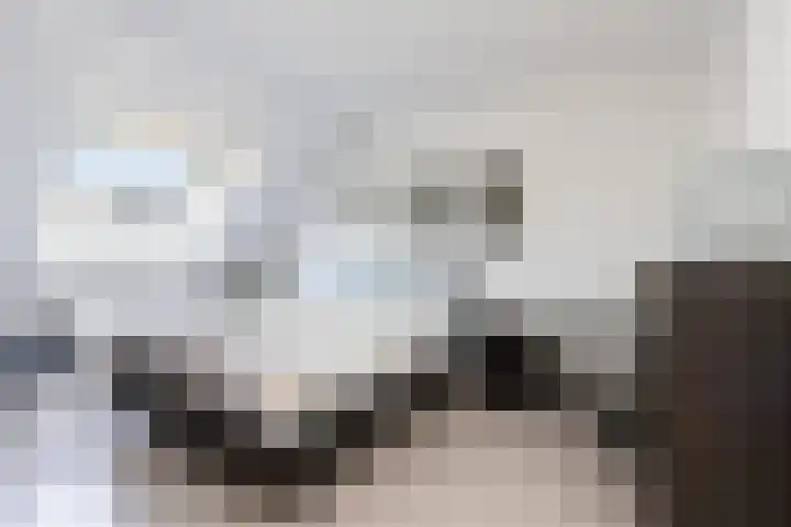 De Bongerd 84 Dalem thumbnail 36