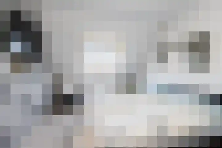 De Bongerd 84 Dalem thumbnail 37