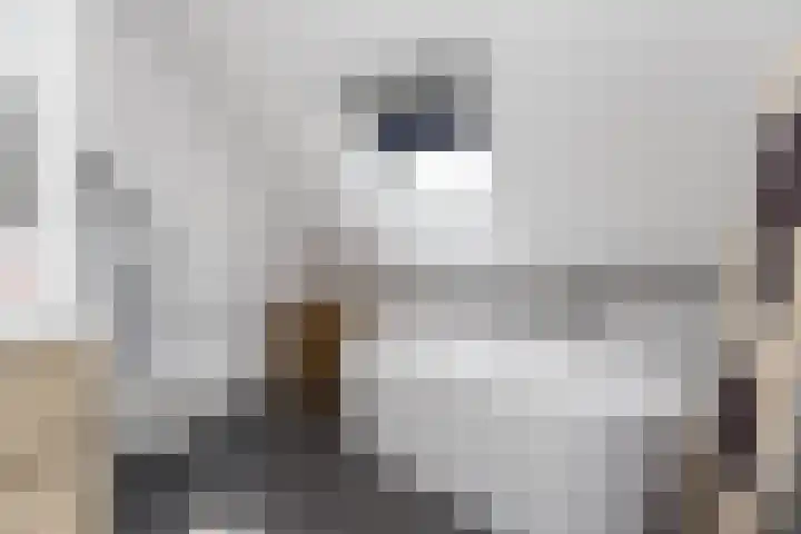 De Bongerd 84 Dalem thumbnail 44