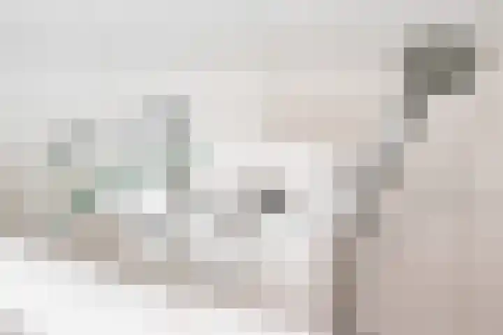 De Bongerd 84 Dalem thumbnail 45