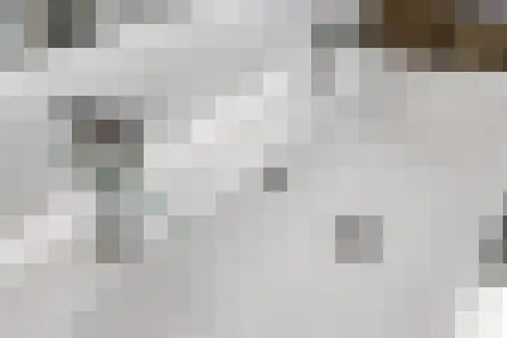 De Bongerd 84 Dalem thumbnail 48