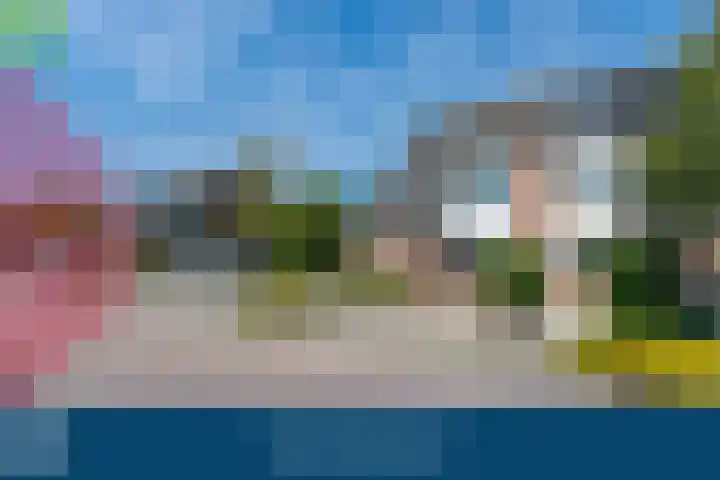 De Bongerd 84 Dalem thumbnail 5