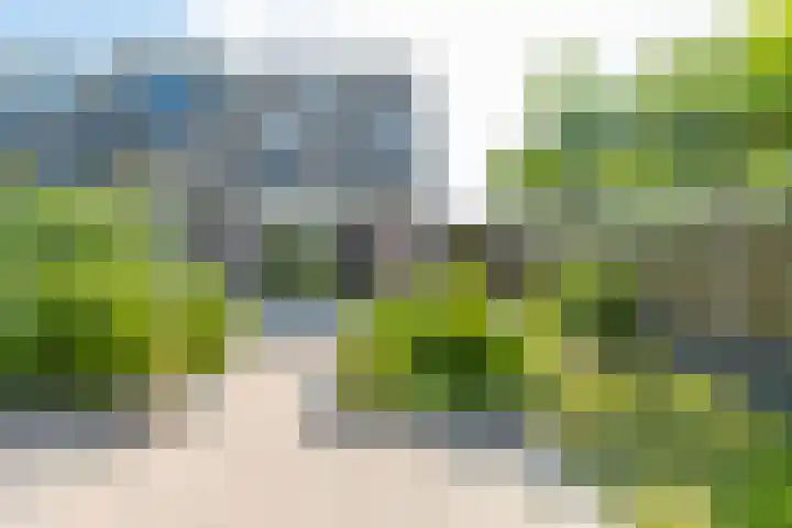 De Bongerd 84 Dalem thumbnail 52