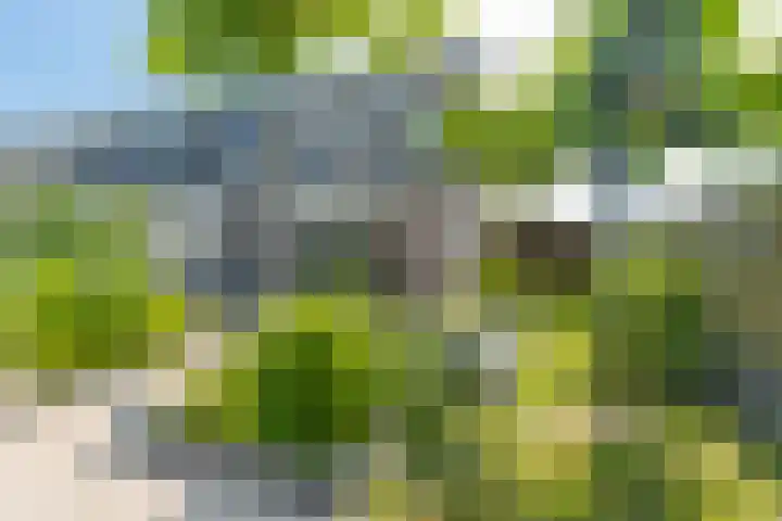 De Bongerd 84 Dalem thumbnail 53