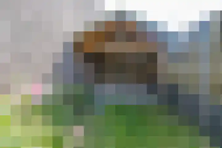 De Bongerd 84 Dalem thumbnail 54