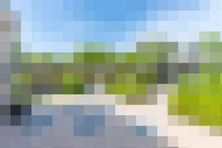 De Bongerd 84 Dalem thumbnail 55