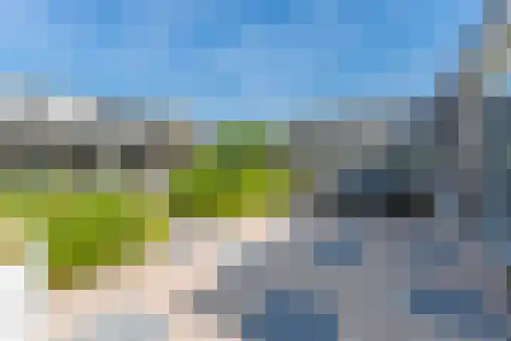 De Bongerd 84 Dalem thumbnail 57