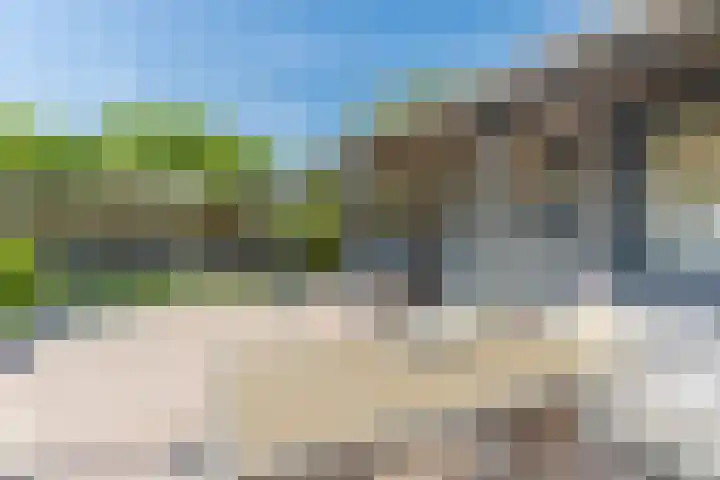 De Bongerd 84 Dalem thumbnail 60