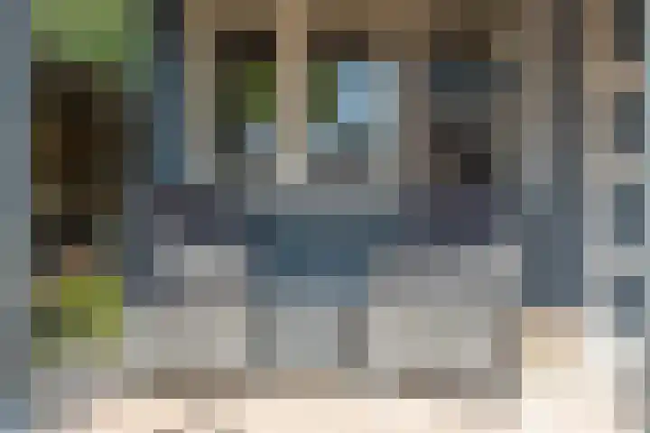 De Bongerd 84 Dalem thumbnail 61
