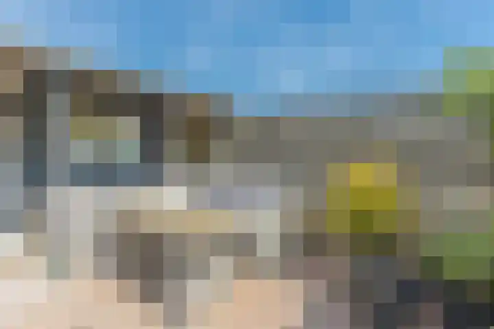 De Bongerd 84 Dalem thumbnail 62