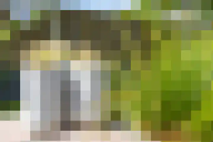 De Bongerd 84 Dalem thumbnail 63