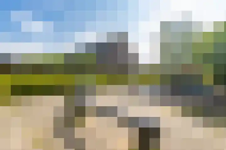 De Bongerd 84 Dalem thumbnail 65