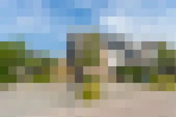 De Bongerd 84 Dalem thumbnail 7