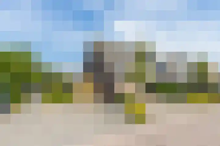 De Bongerd 84 Dalem thumbnail 8