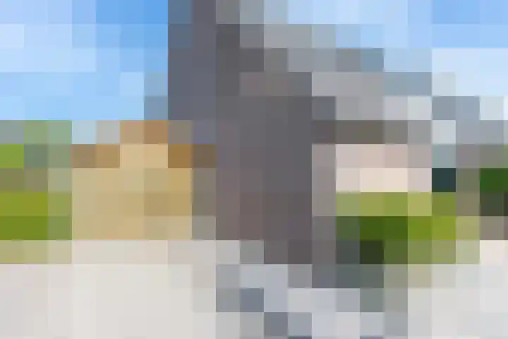 De Bongerd 84 Dalem thumbnail 9