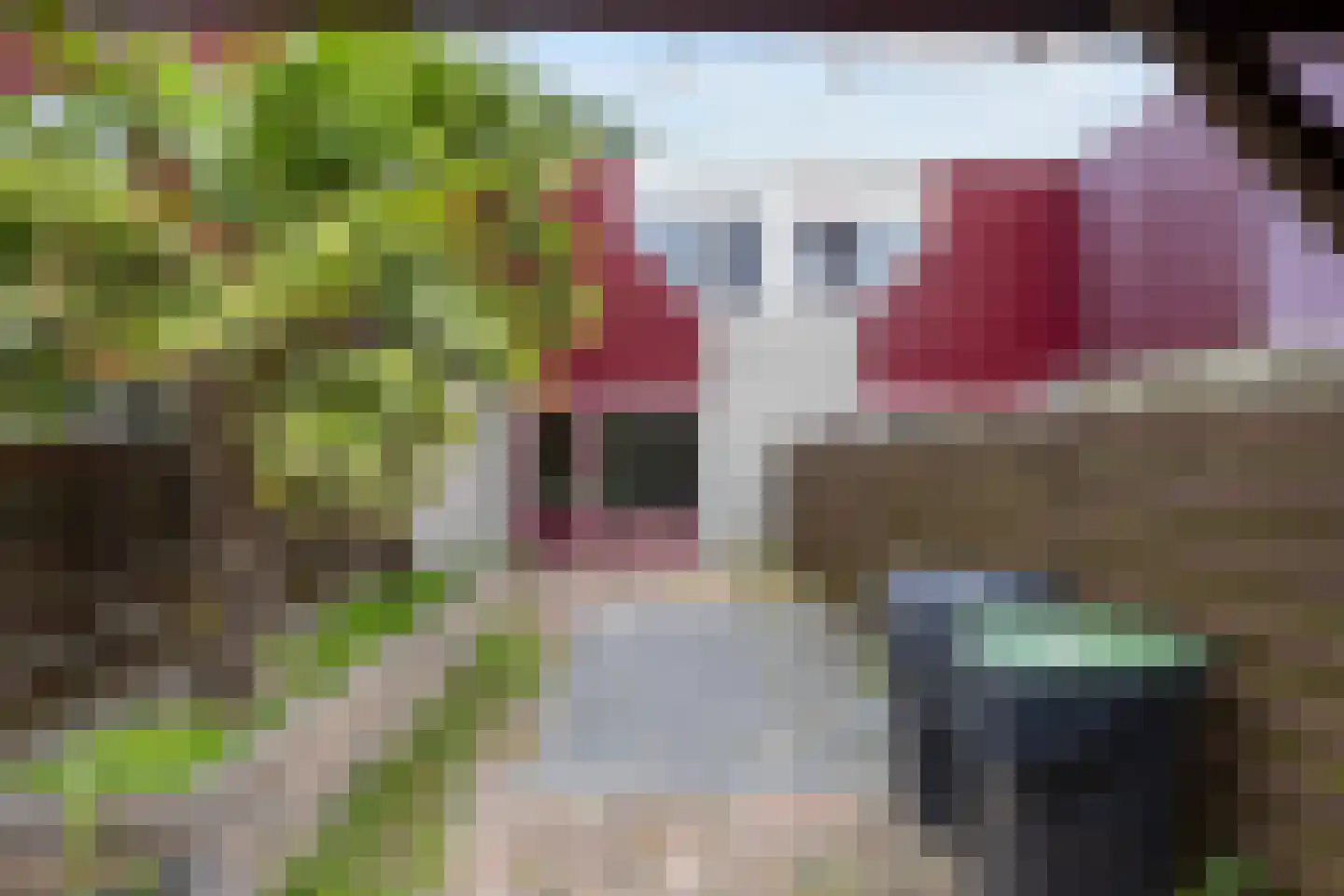 De Bongerd 9 Bedum thumbnail 28
