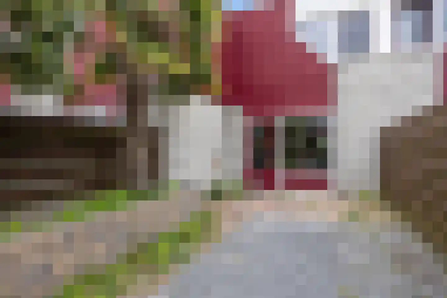 De Bongerd 9 Bedum thumbnail 29