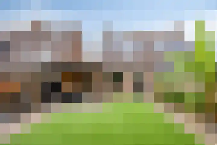 De Bongerd 92 dans Oss