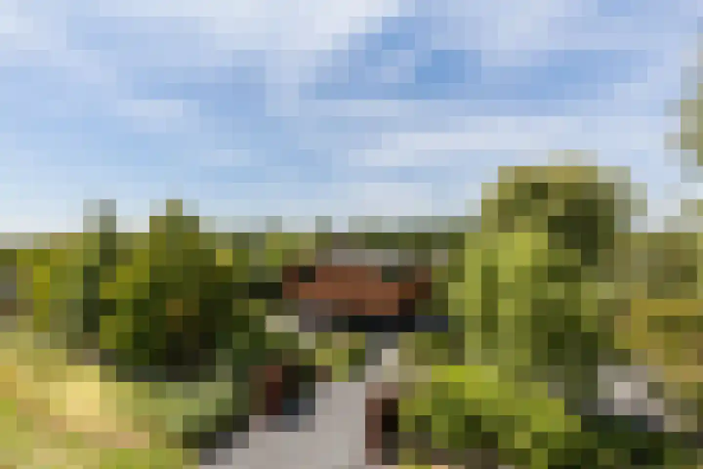 De Bonk 4 Zevenhuizen