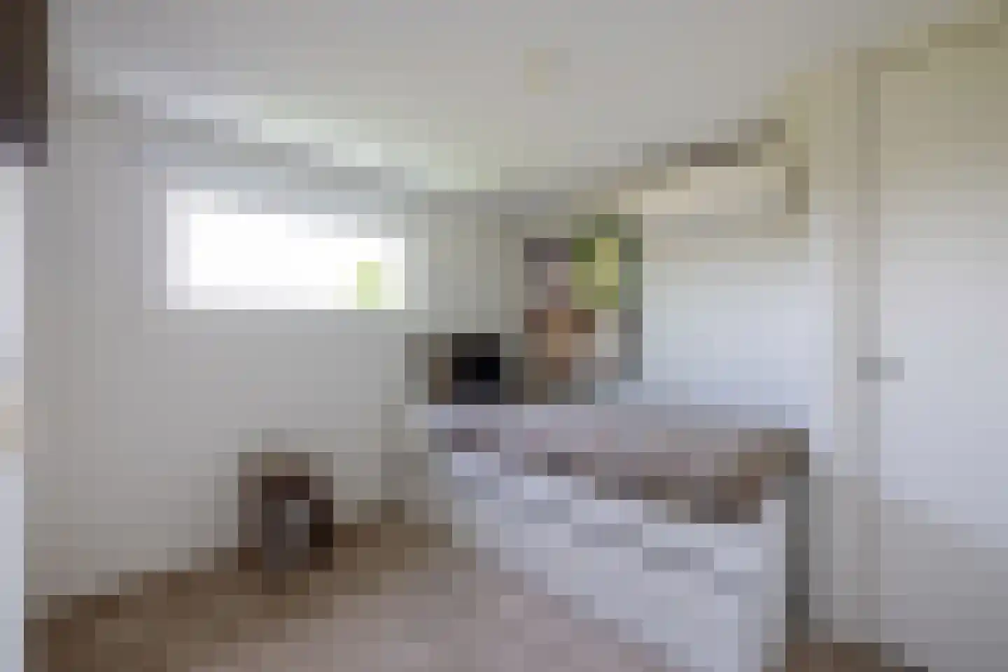 De Bonk 4 Zevenhuizen thumbnail 17
