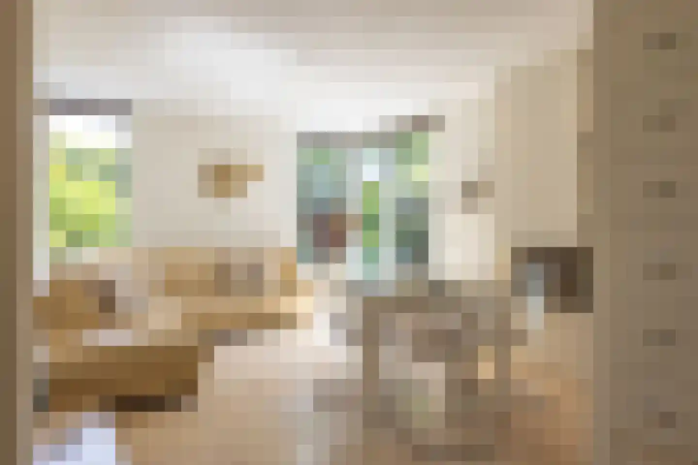 De Bonk 4 Zevenhuizen foto 2