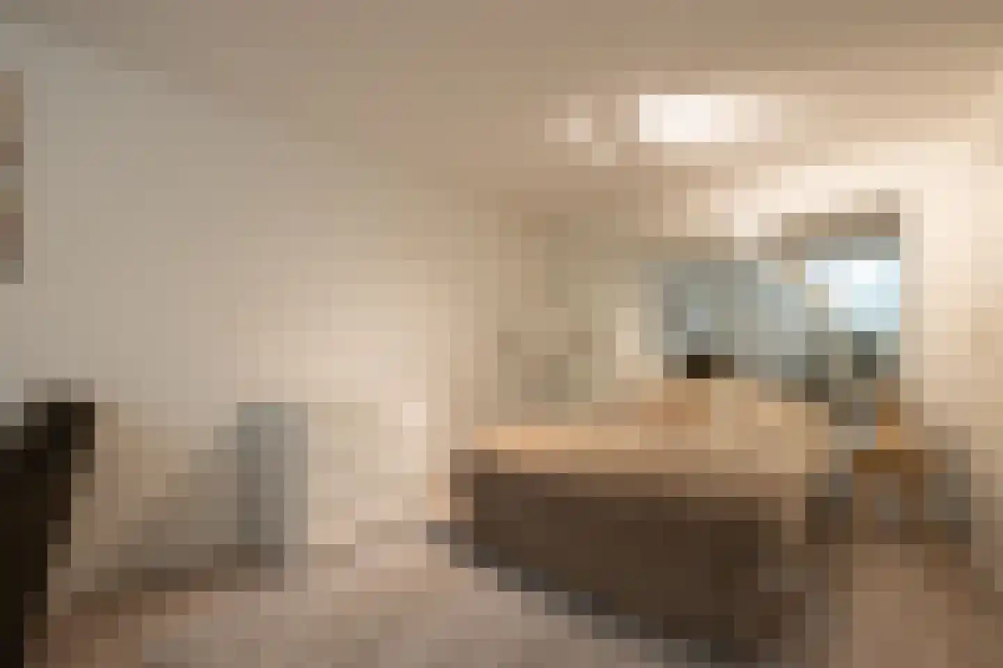 De Bonk 4 Zevenhuizen thumbnail 20