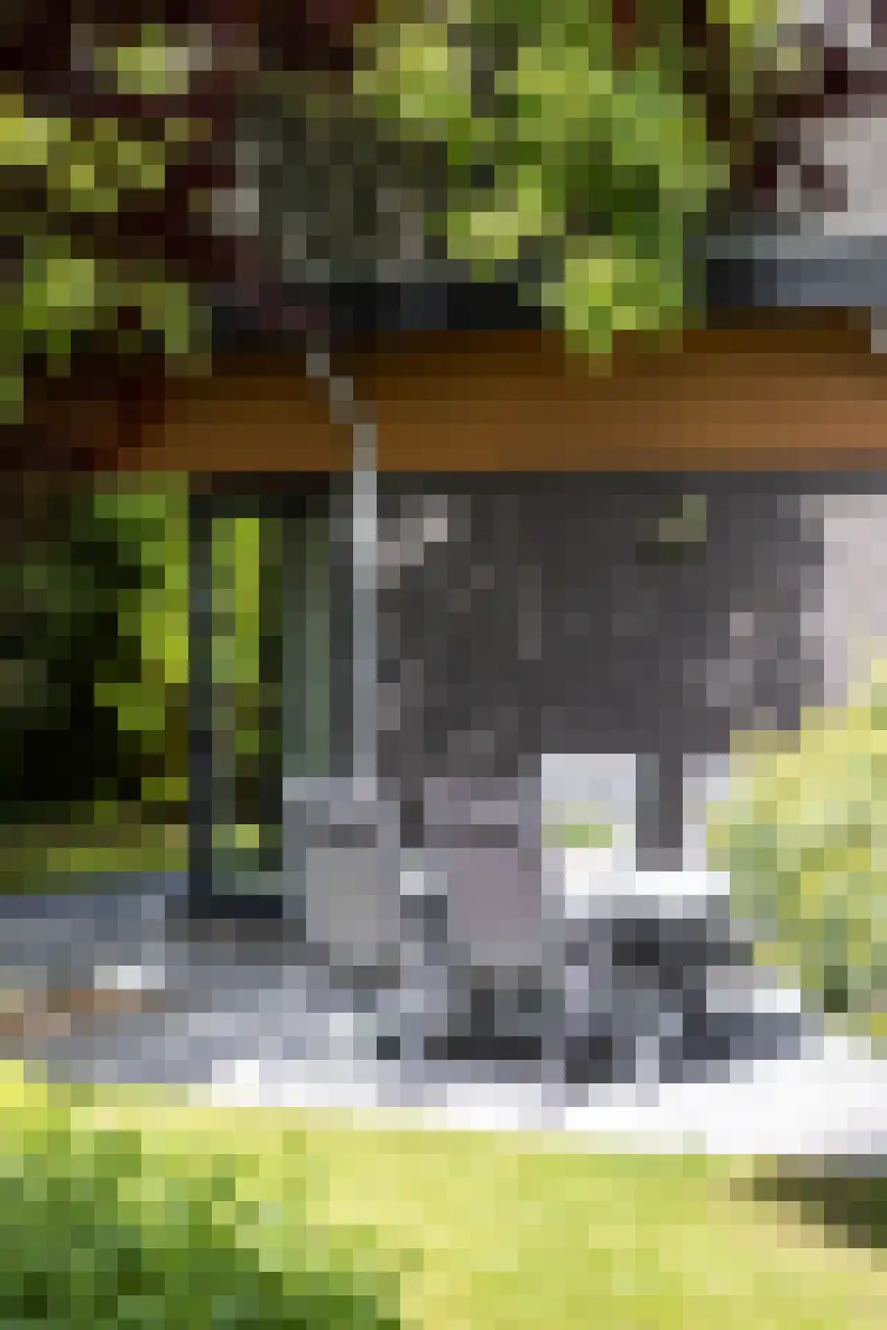 De Bonk 4 Zevenhuizen thumbnail 22