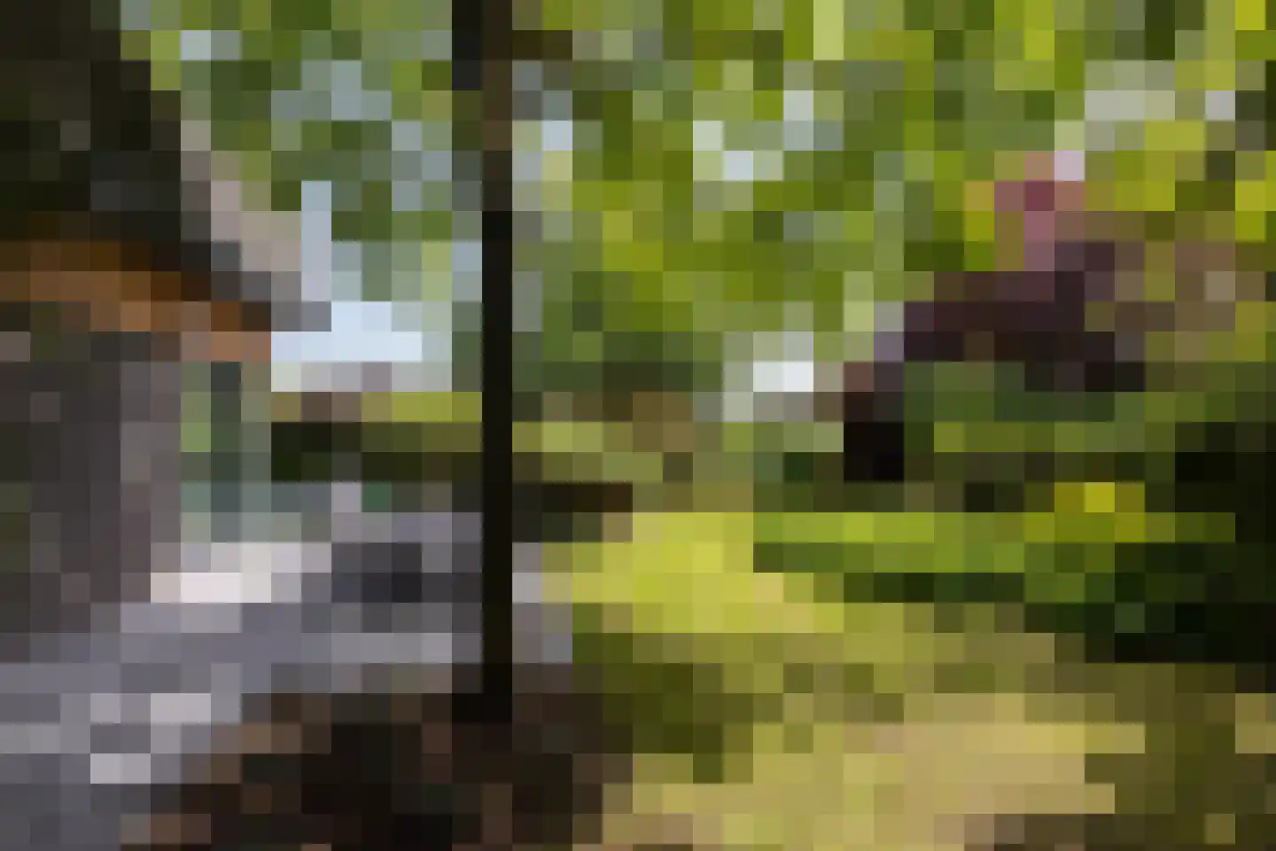 De Bonk 4 Zevenhuizen thumbnail 23