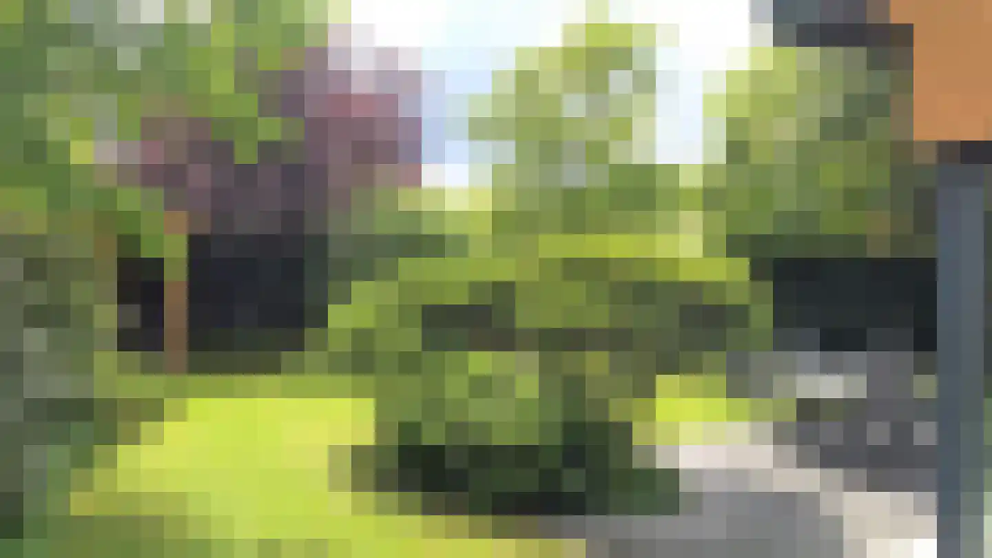 De Bonk 4 Zevenhuizen thumbnail 26