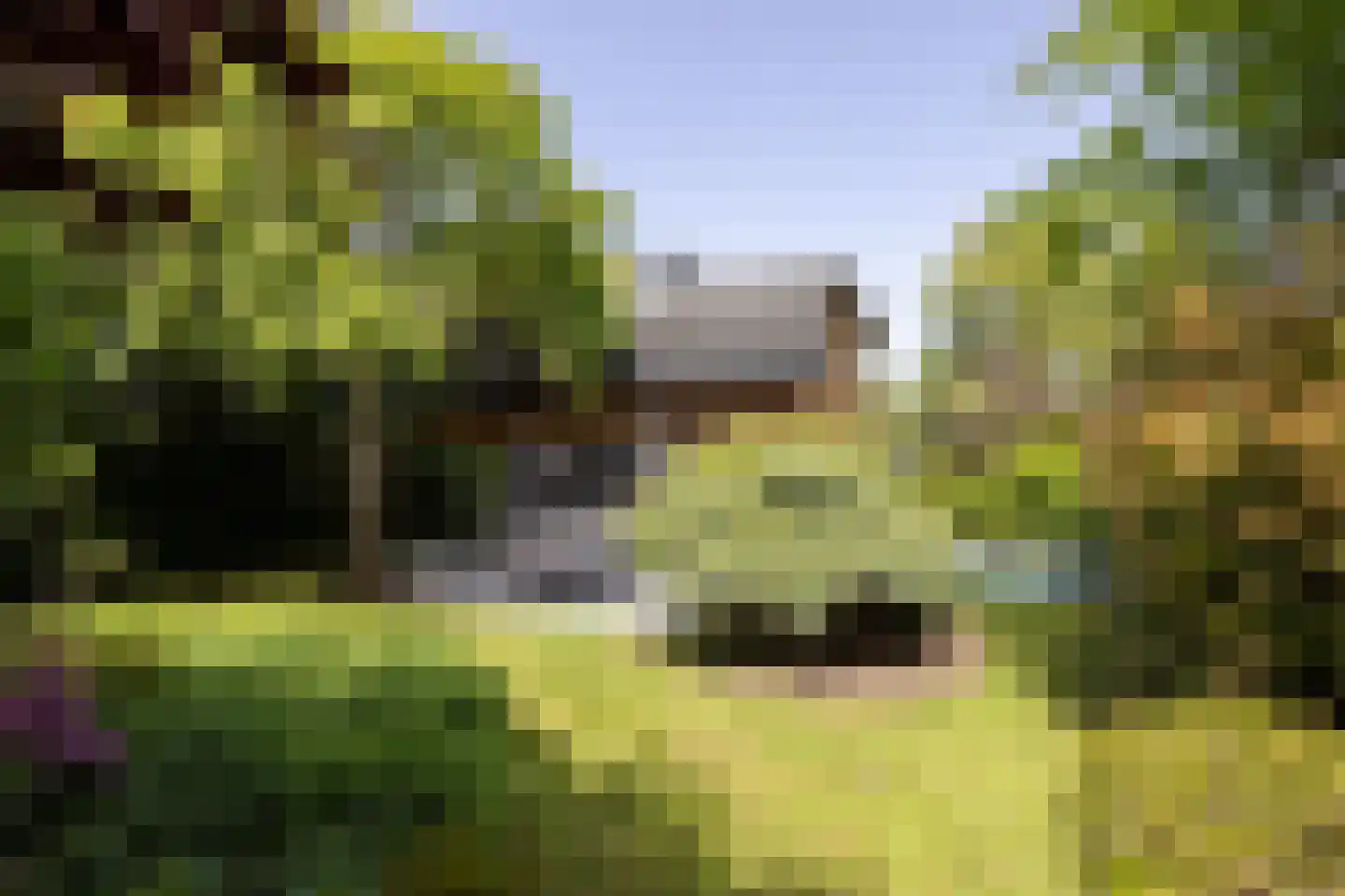 De Bonk 4 Zevenhuizen thumbnail 27