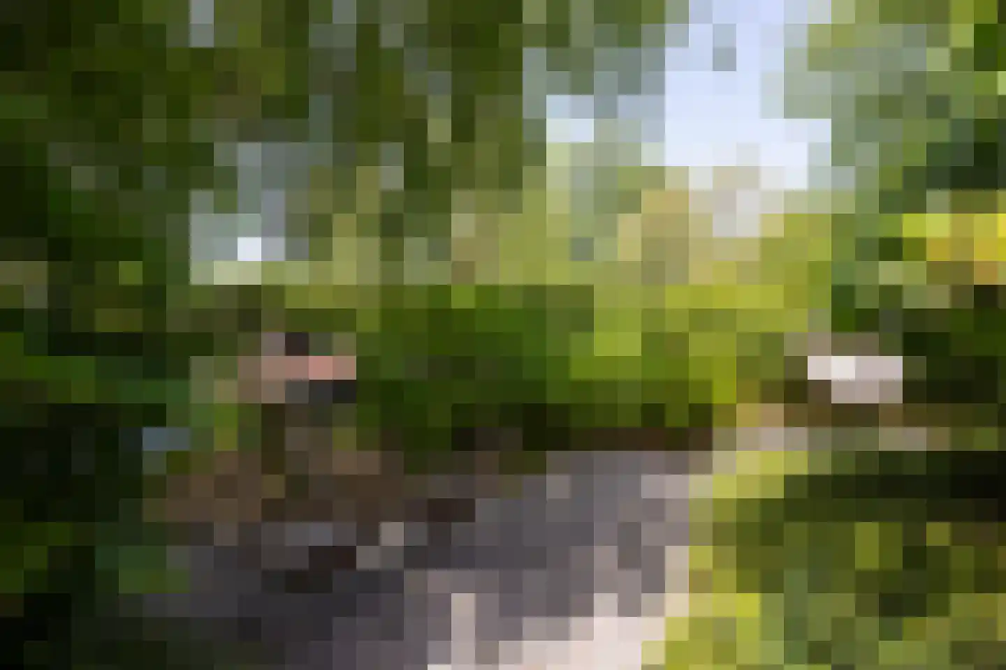 De Bonk 4 Zevenhuizen thumbnail 29