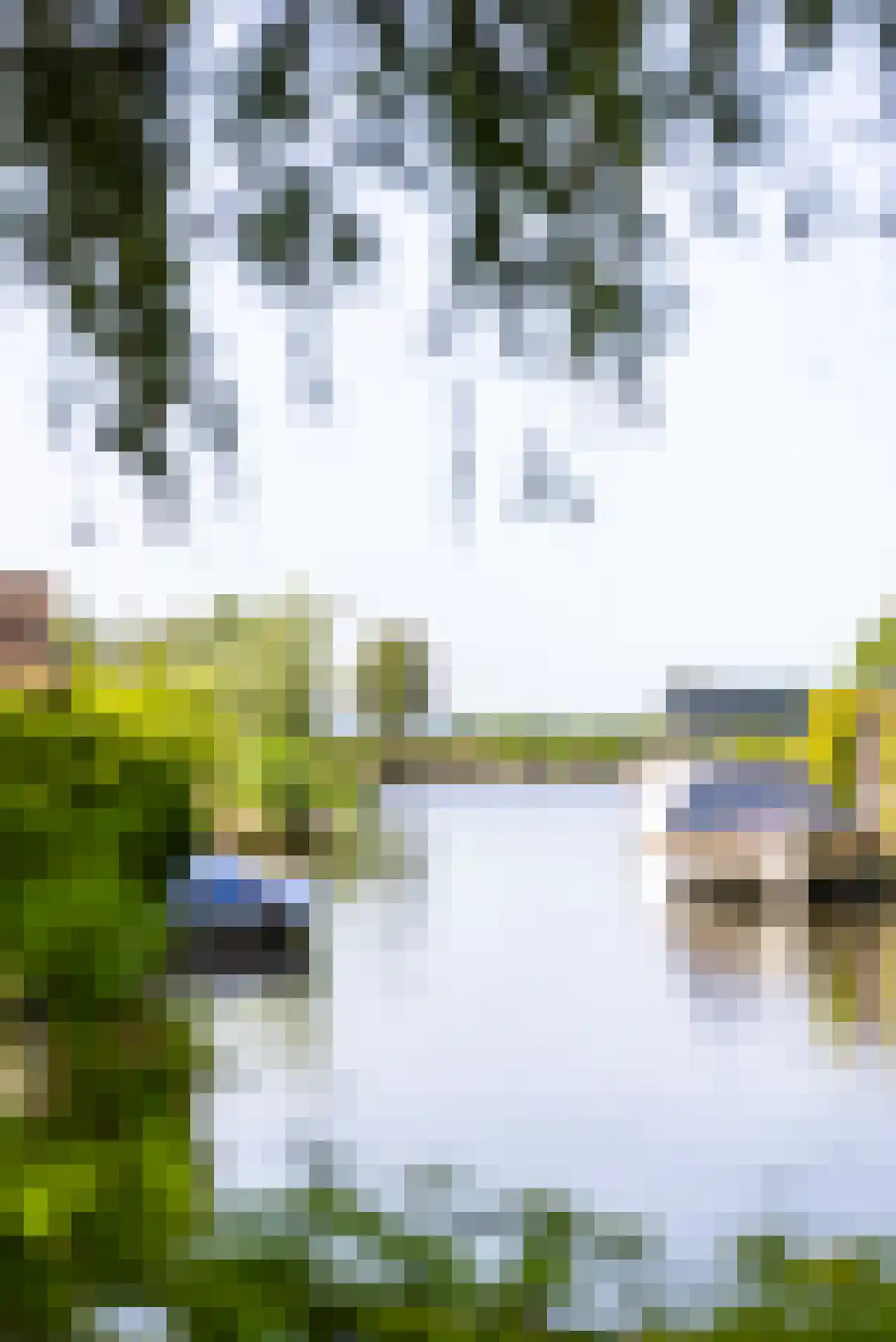 De Bonk 4 Zevenhuizen thumbnail 31