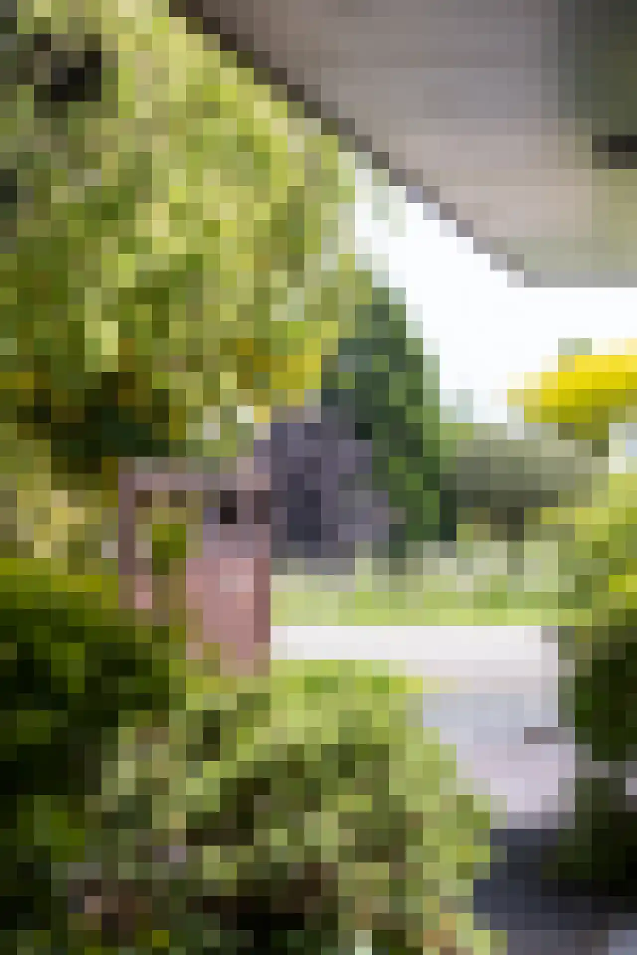 De Bonk 4 Zevenhuizen thumbnail 32