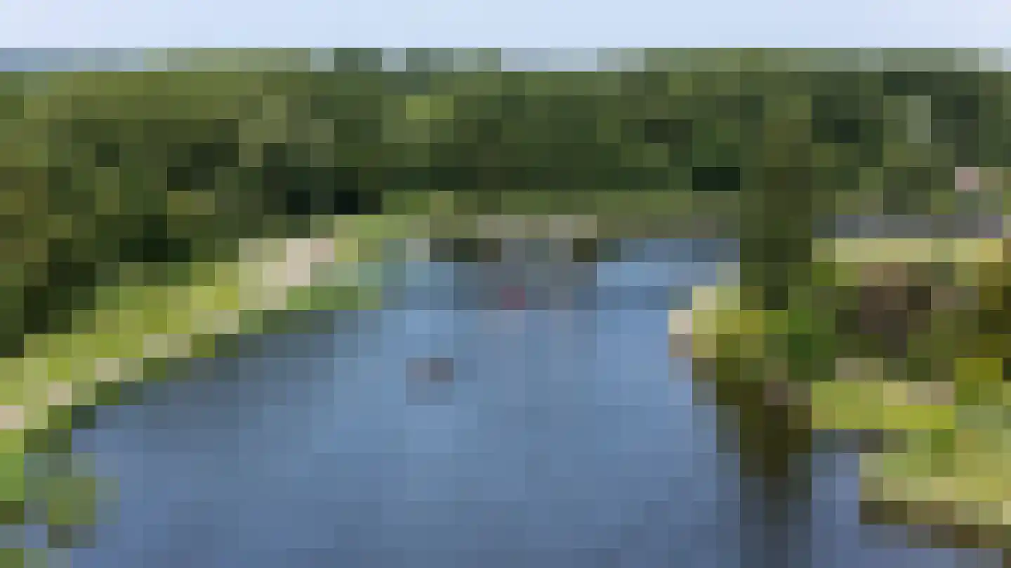 De Bonk 4 Zevenhuizen thumbnail 38