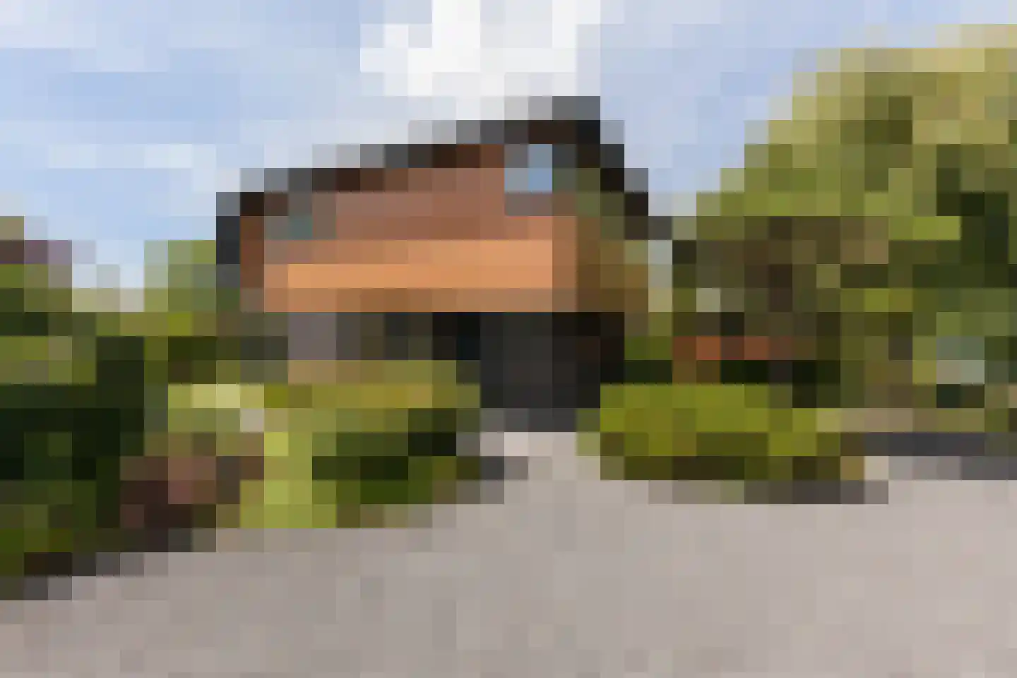 De Bonk 4 Zevenhuizen thumbnail 4