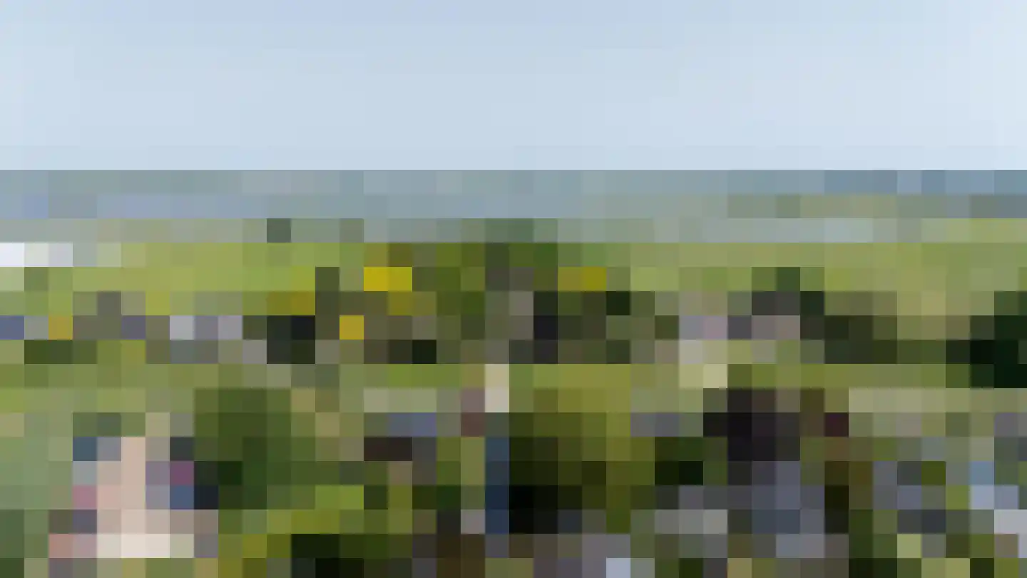 De Bonk 4 Zevenhuizen thumbnail 40